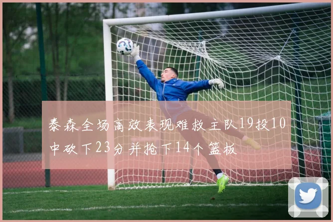 泰森全场高效表现难救主队19投10中砍下23分并抢下14个篮板
