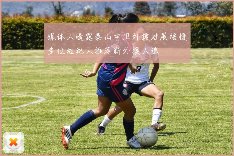 媒体人透露泰山中卫外援进展缓慢多位经纪人推荐新外援人选